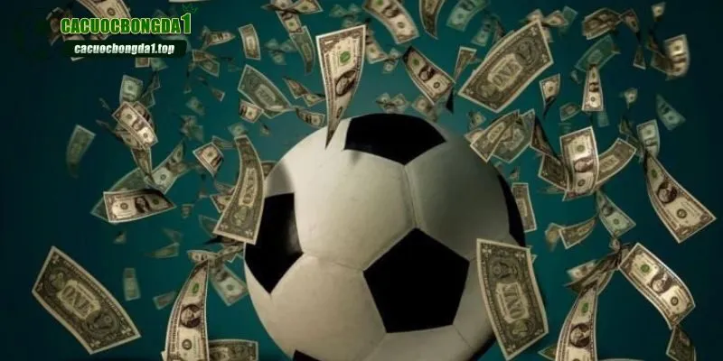 Các tiêu chí quan trọng cần chú ý