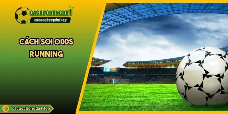 Cách soi odds running