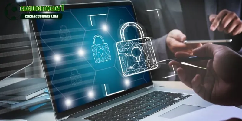 Cam kết toàn bộ thông tin đều chính xác