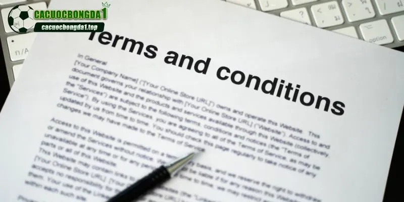 Cập nhật thông tin điều khoản chi tiết cho người dùng