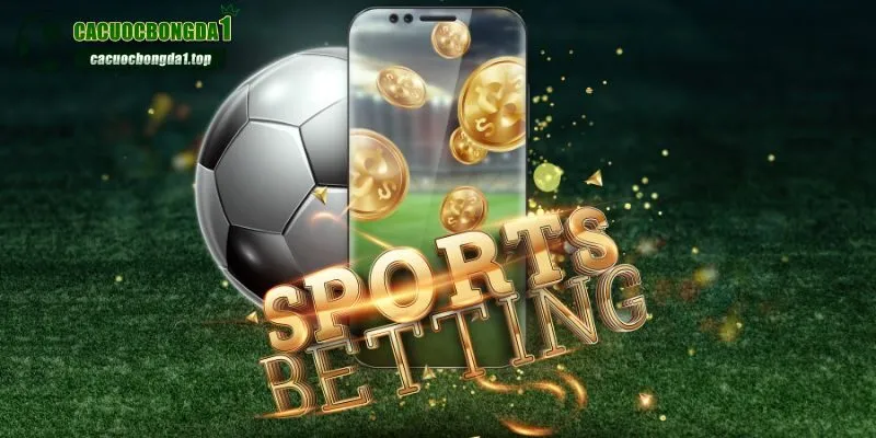 Giới thiệu các thông tin cơ bản