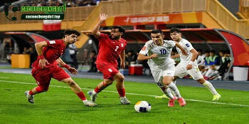 Học các mẹo để tối ưu hóa lợi nhuận thu về cho bản thân