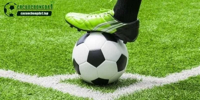 Khám phá cách soi odds running dễ dàng không phức tạp