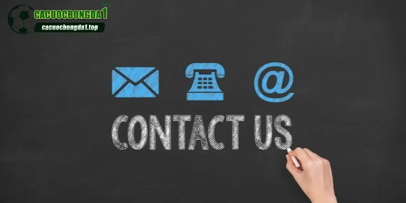 Nền tảng có những cách liên hệ nào?