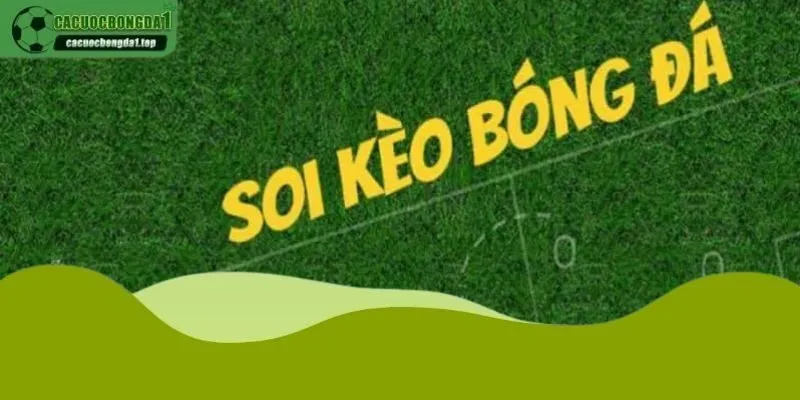 Soi kèo bóng đá rất thú vị