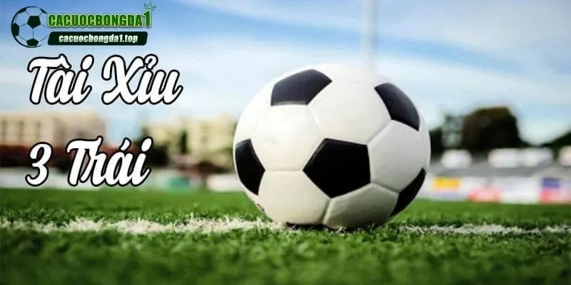 Tài xỉu 3 trái là sao? Hiểu rõ để tránh mất tiền oan