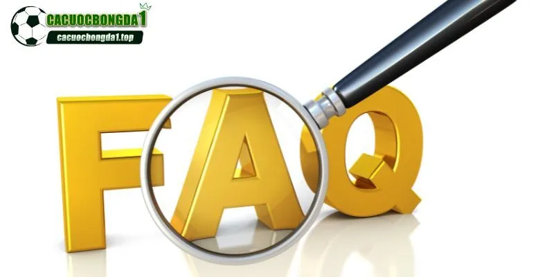 Website cung cấp các chuyên mục liên quan đến bóng đá