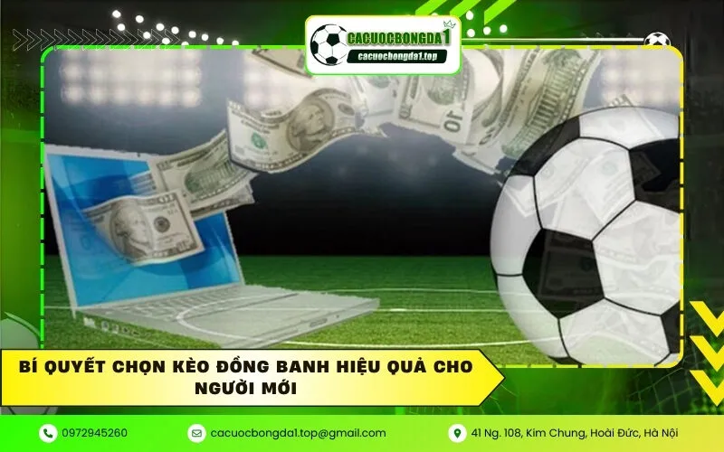 Bí quyết chọn kèo đồng banh hiệu quả cho người mới