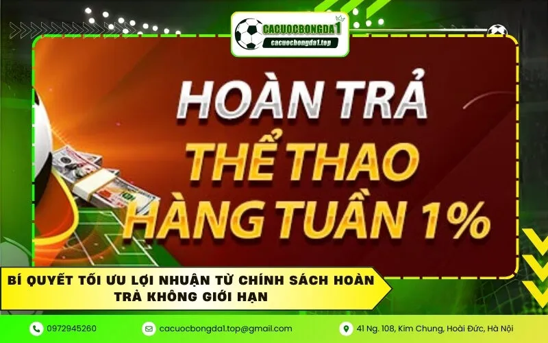 Bí quyết tối ưu lợi nhuận từ chính sách hoàn trả không giới hạn