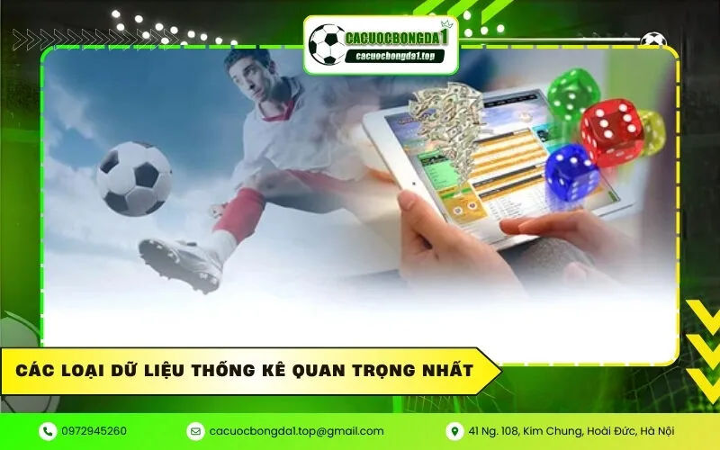 Các loại dữ liệu thống kê quan trọng nhất