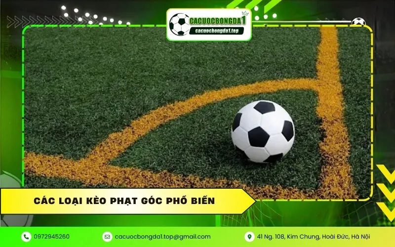 Các loại kèo phạt góc phổ biến