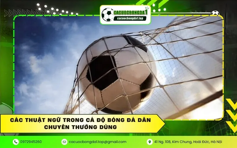 Các thuật ngữ trong cá độ bóng đá dân chuyên thường dùng