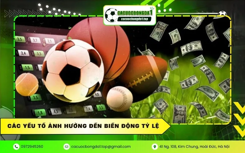 Các Yếu Tố Ảnh Hưởng Đến Biến Động Tỷ Lệ