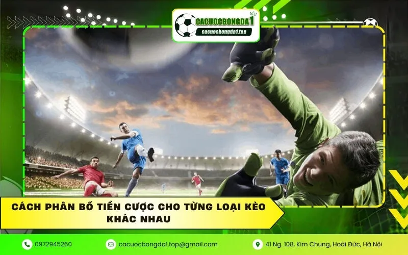 Cách phân bổ tiền cược cho từng loại kèo khác nhau