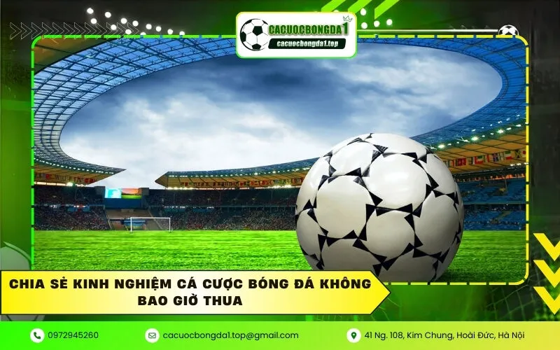Chia sẻ kinh nghiệm cá cược bóng đá không bao giờ thua