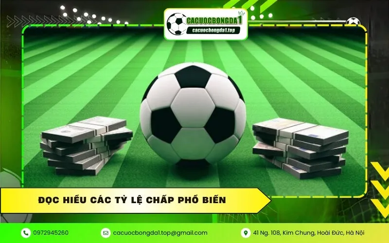 Đọc Hiểu Các Tỷ Lệ Chấp Phổ Biến