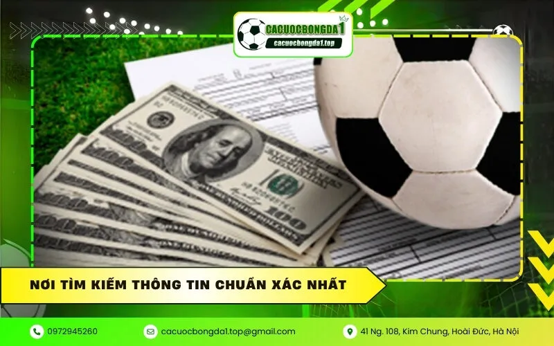 Nơi Tìm Kiếm Thông Tin Chuẩn Xác Nhất