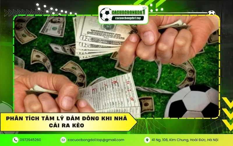 Phân tích tâm lý đám đông khi nhà cái ra kèo