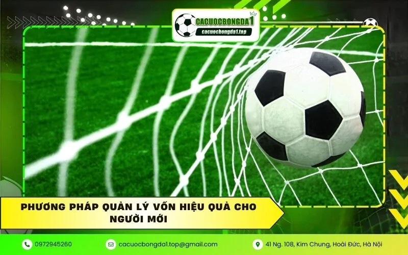 Phương pháp quản lý vốn hiệu quả cho người mới