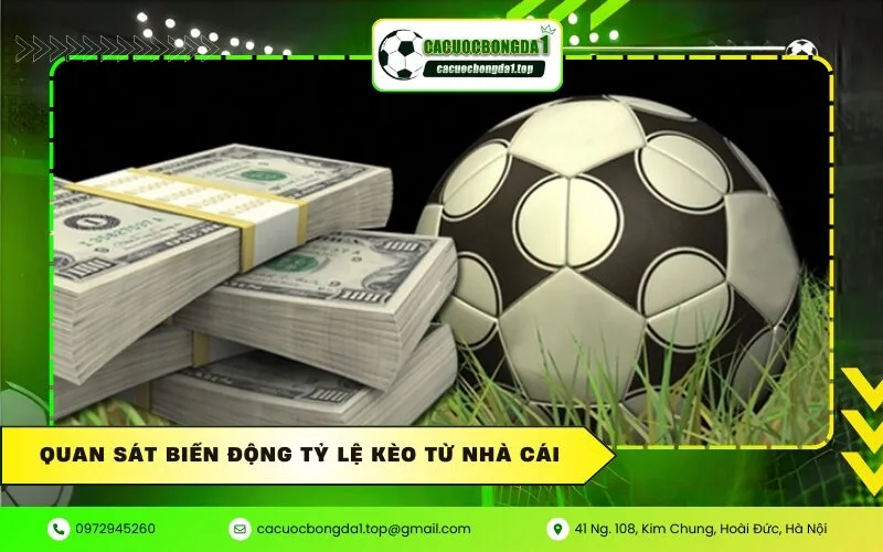 Quan sát biến động tỷ lệ kèo từ nhà cái