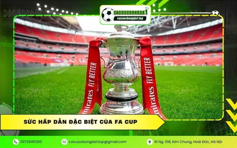 Sức hấp dẫn đặc biệt của FA Cup