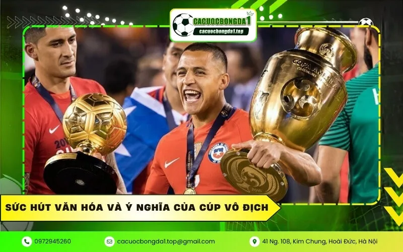 Sức hút văn hóa và ý nghĩa của cúp vô địch