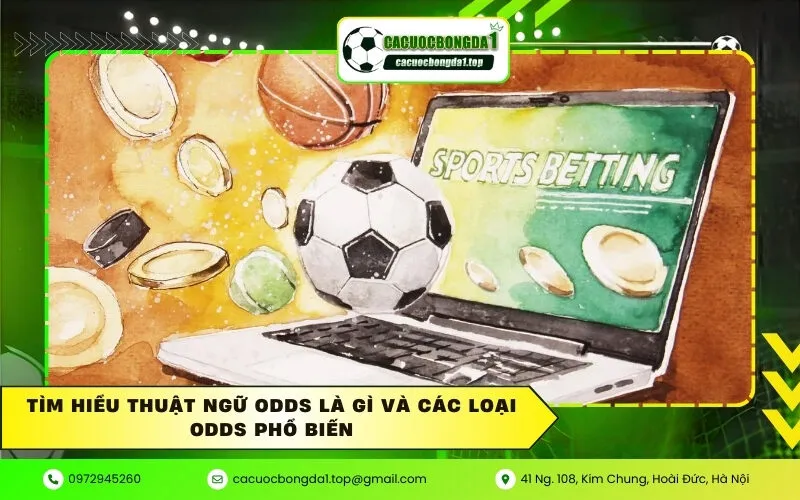 Tìm hiểu thuật ngữ Odds là gì và các loại Odds phổ biến