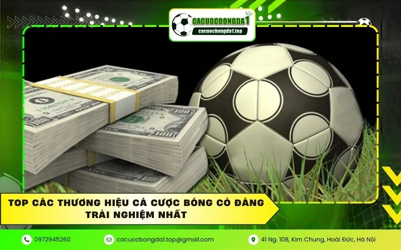 Top Các Thương Hiệu Cá Cược Bóng Cỏ Đáng Trải Nghiệm Nhất