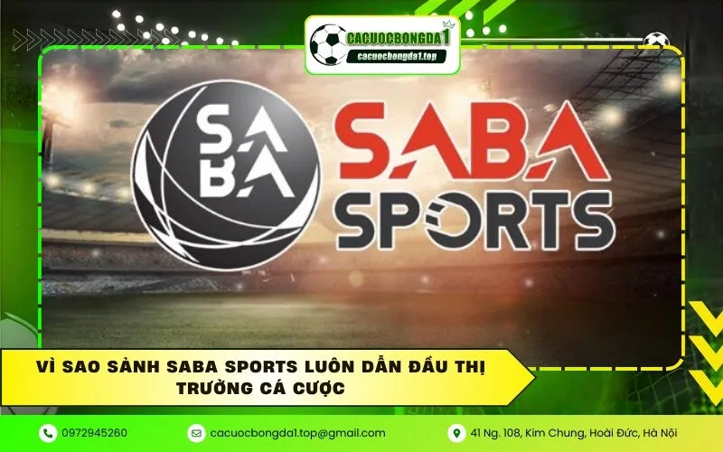 Vì sao sảnh Saba Sports luôn dẫn đầu thị trường cá cược