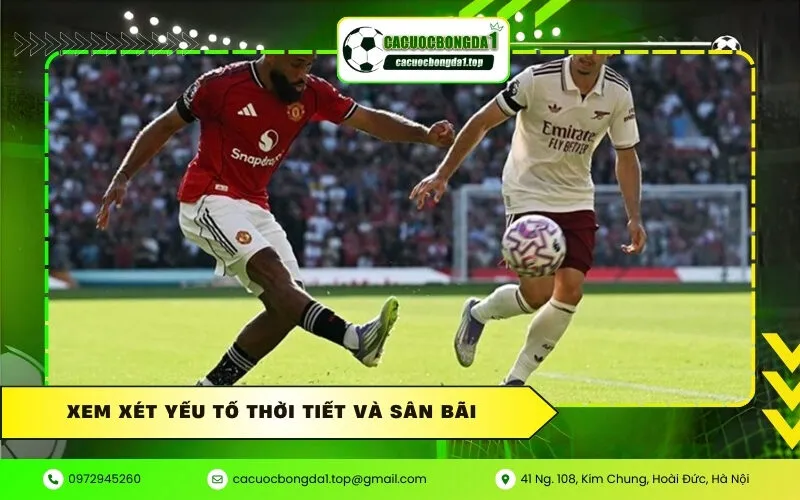 Xem Xét Yếu Tố Thời Tiết Và Sân Bãi